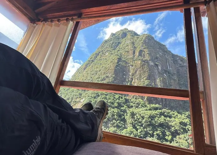 Tree House Lodge