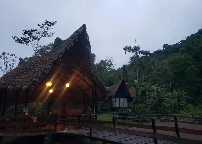 Top Manu Avatar Lodge