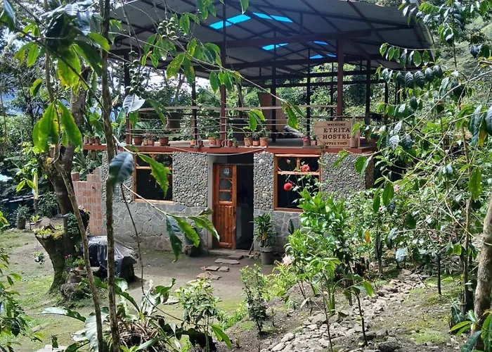 Etrita Inkas Hostel