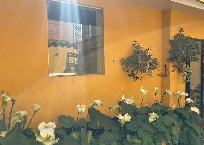 Sacred Valley Boutique Vegan Guesthouse
