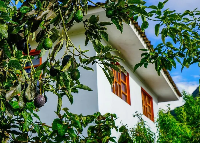 B&B Sacred Valley
